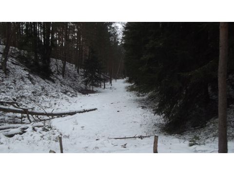 Foto 15